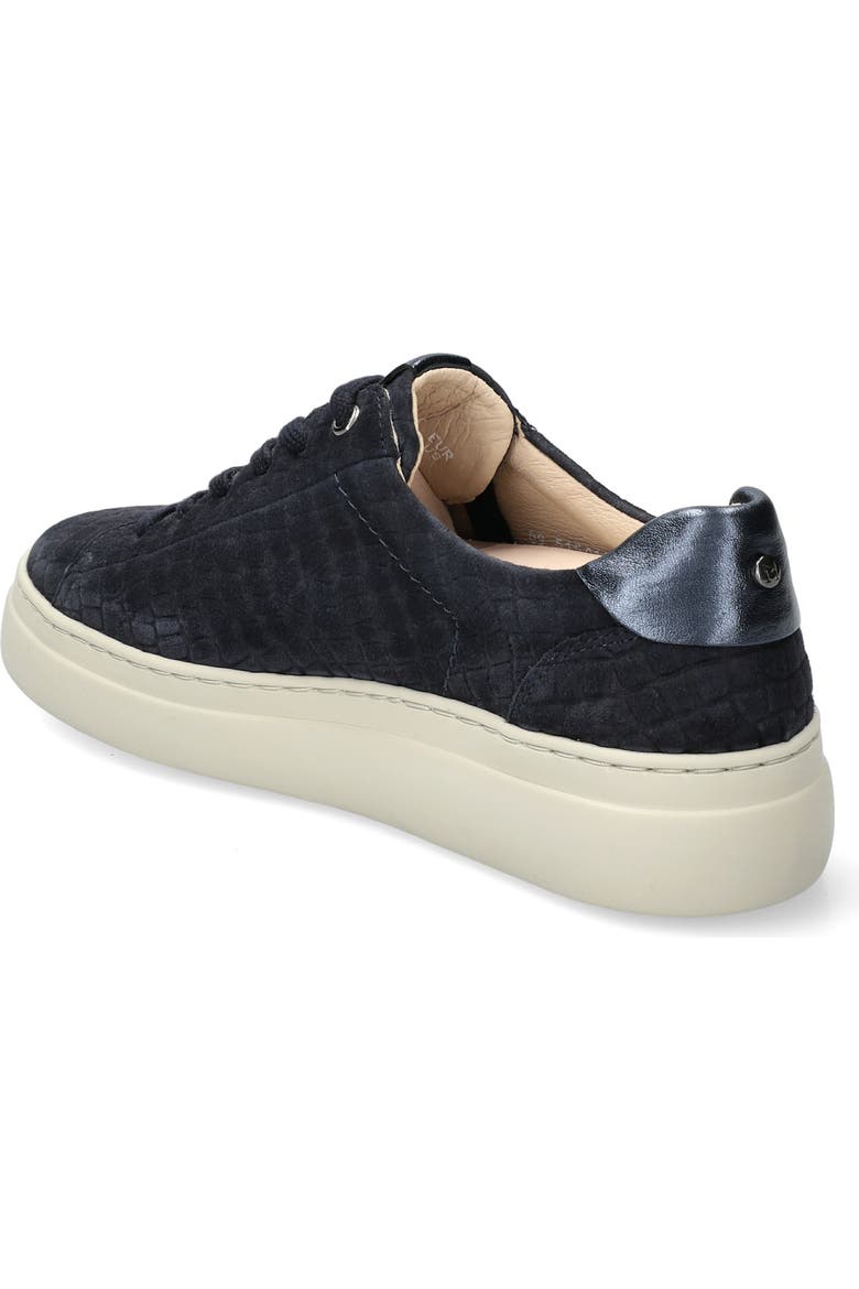 Dotty - Navy 71445/95