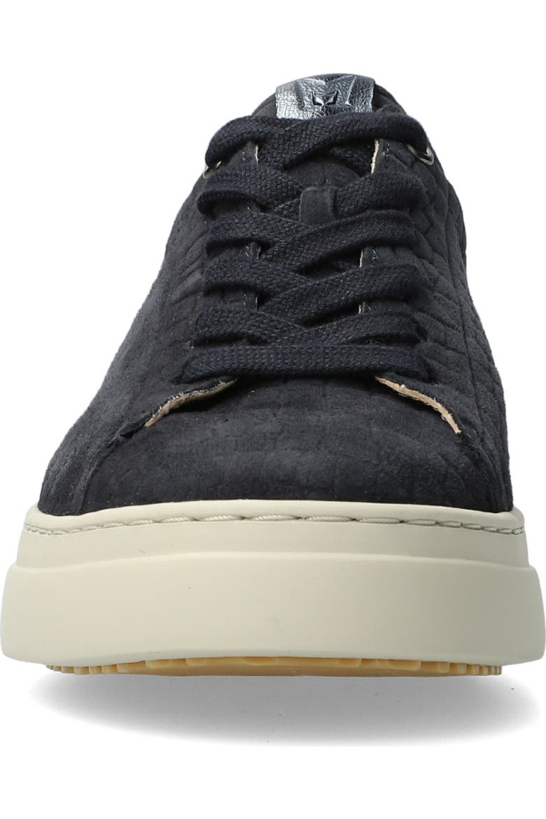 Dotty - Navy 71445/95