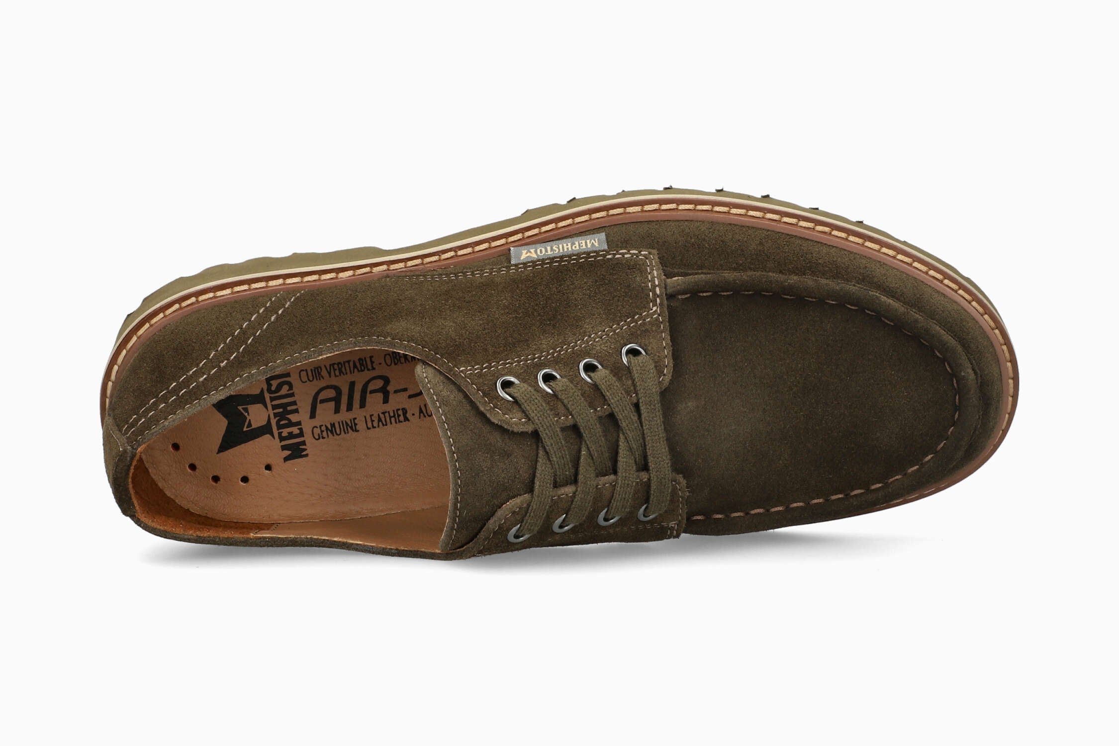 Alessandro - Moss VEL9819