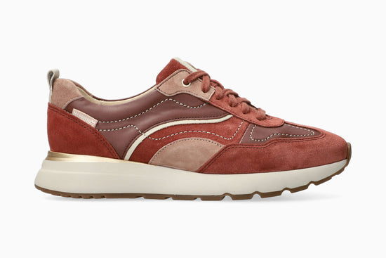 Caryta - Rust 3664N