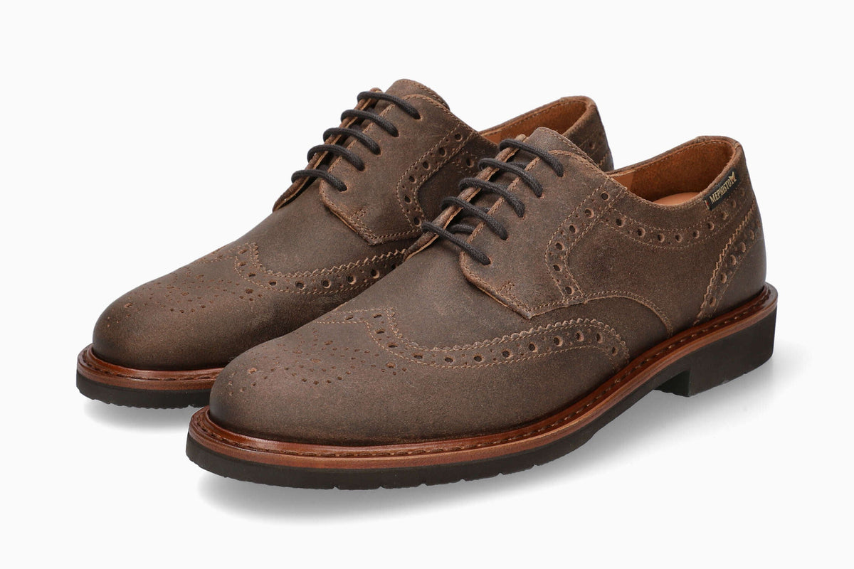 Max - Wingtip Hazelnut (11735)