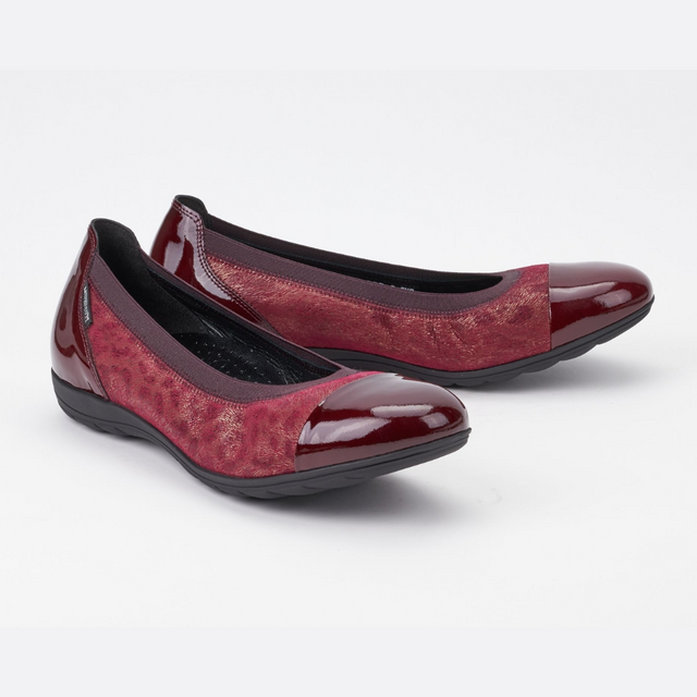 Elettra - Wine 4270/17674