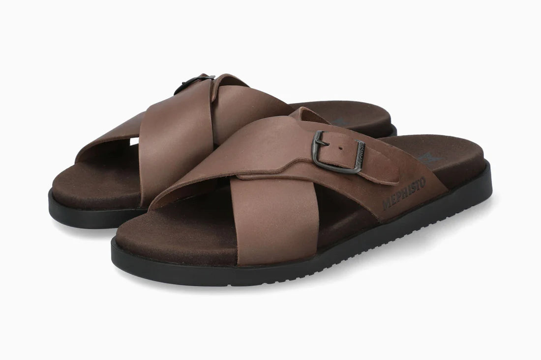 Giulio - Dark Brown SCR 3451