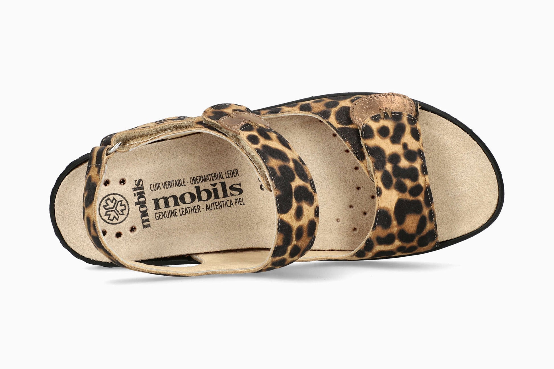 Getha - Brown Bengal 46158/37