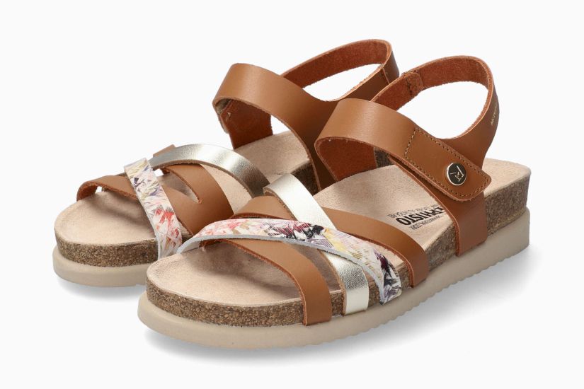 Halinka - Camel 2831