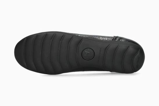 Emilie - Black Comet 22100