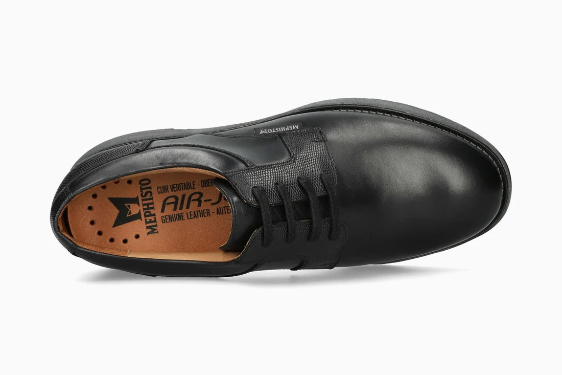 Ray - Black 6100/H00