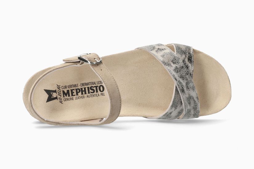 Stela - Grey S27303/60