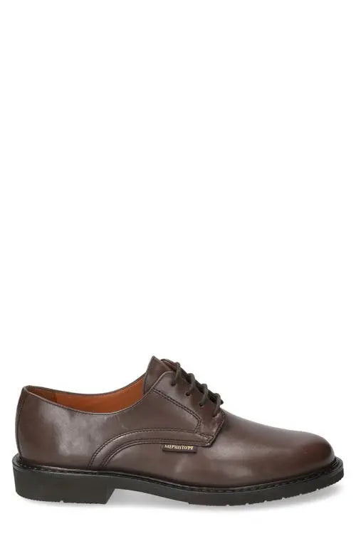 Marlon - Dark Brown Antica 8851