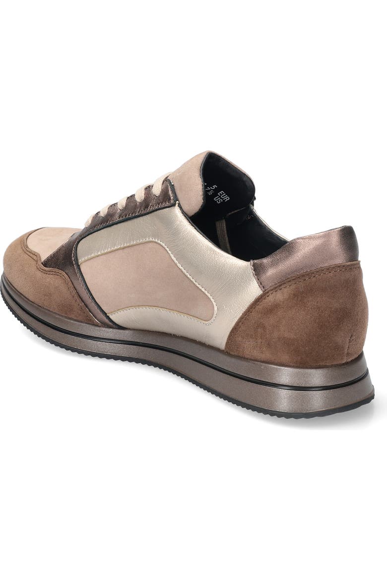 Leenie - Cinnamon 1221D