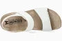 Agave - White WH1230/30330