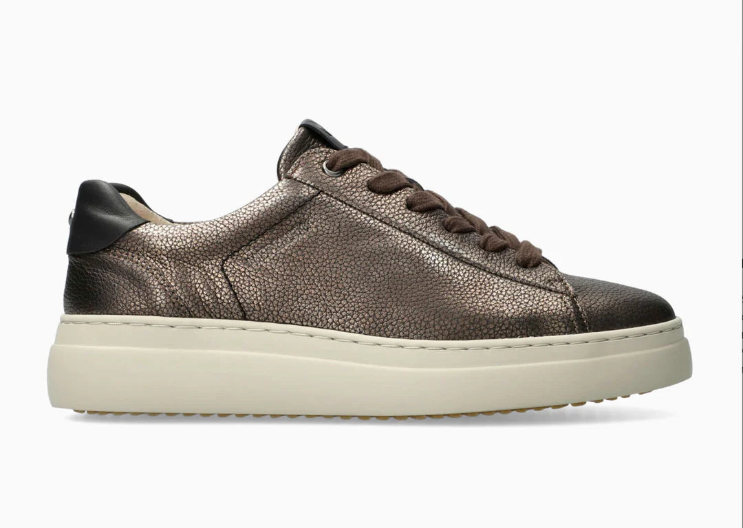 Dotty - Walnut