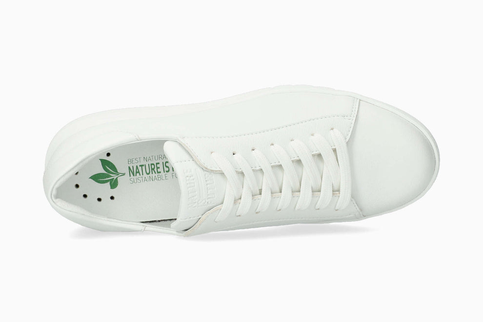 Aria Fruit - White APP30