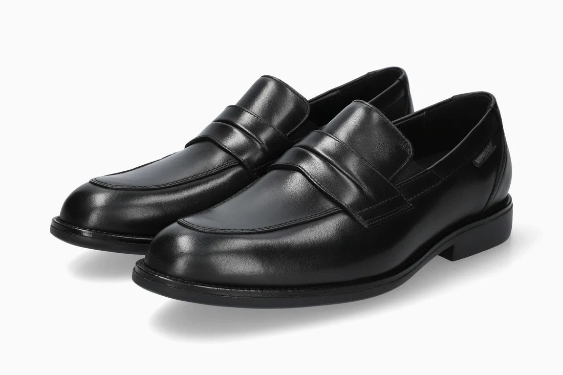 Fergus - Black Antica