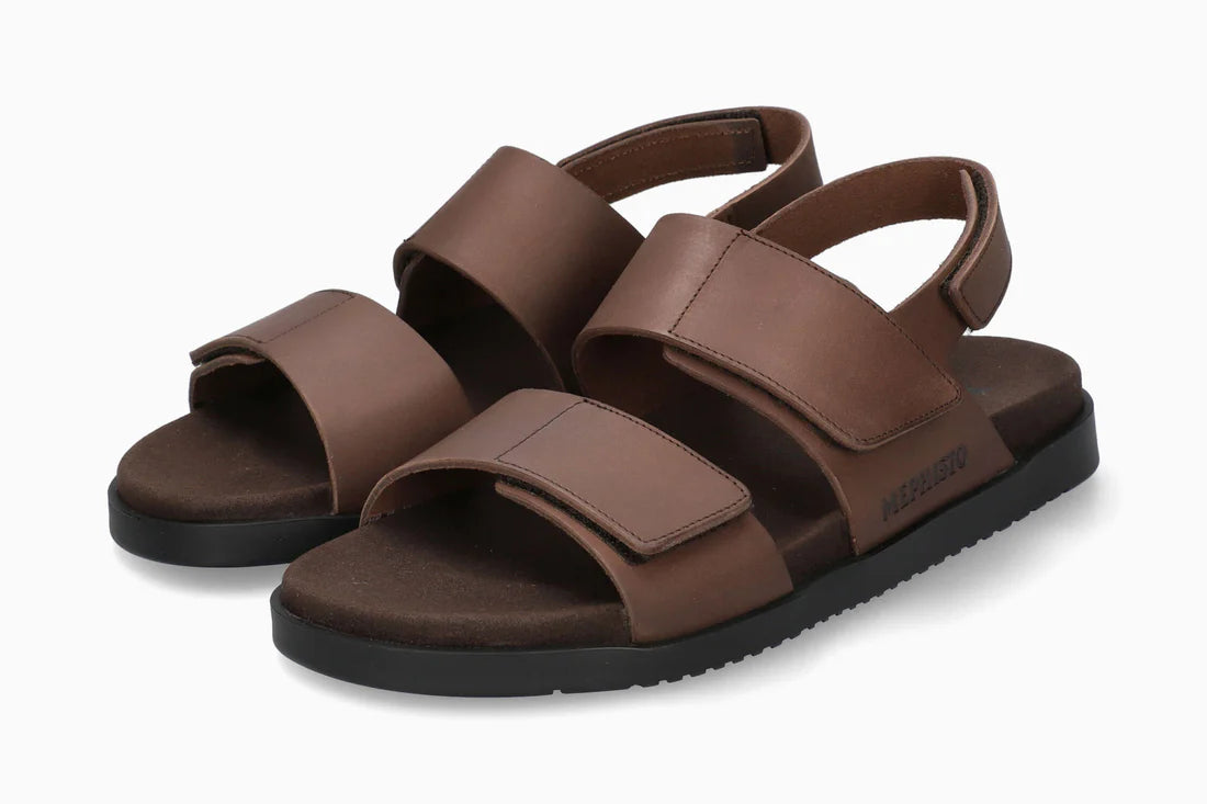 Gautier - Dark Brown SCR3451