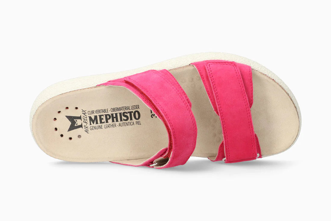 Gayle - Fuchsia FUCH VE12240