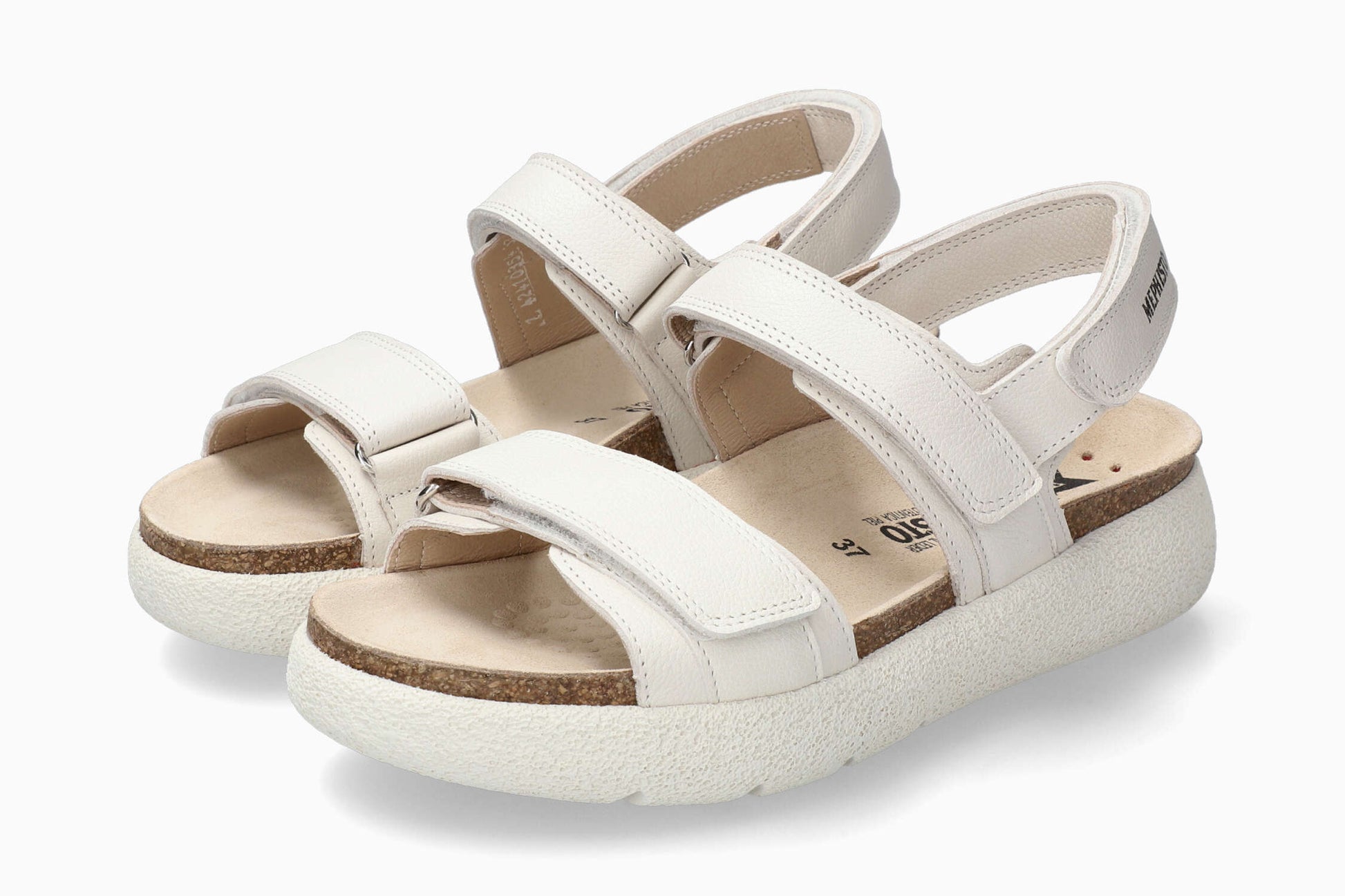 Gill - Fog 9934