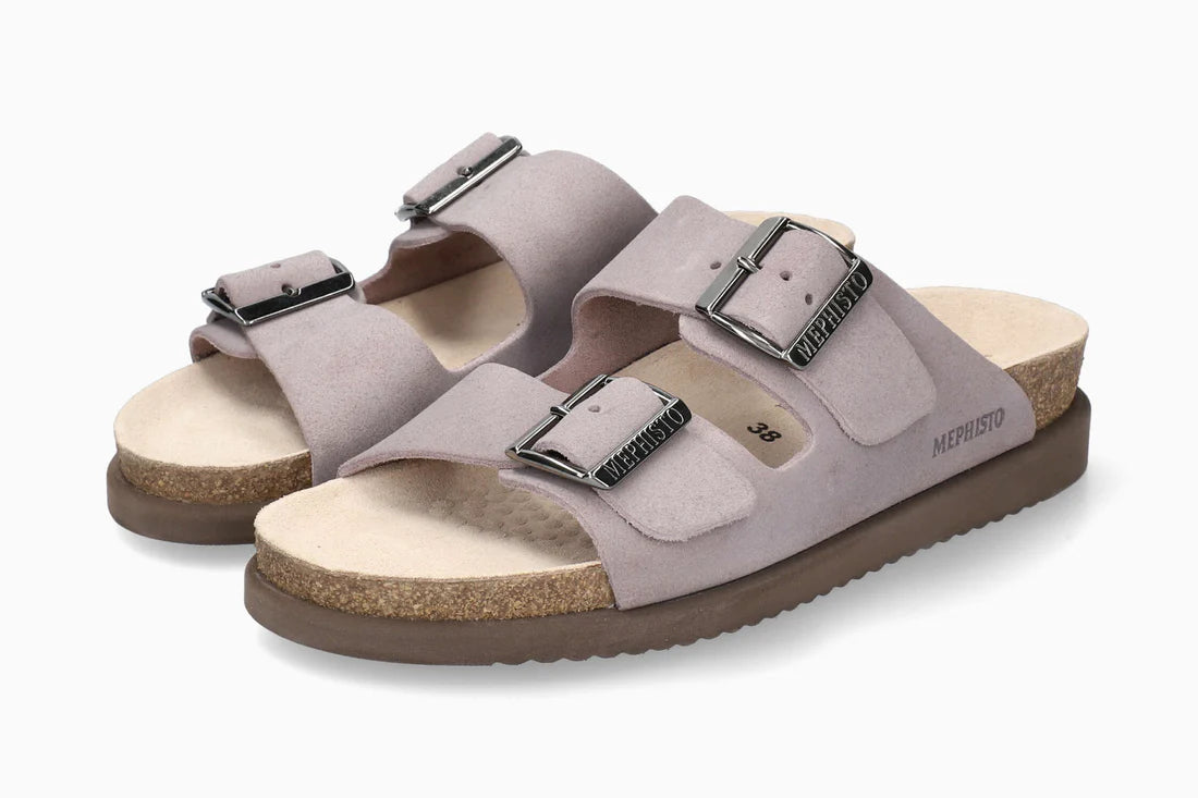 Hester -  MALLOW 6281H