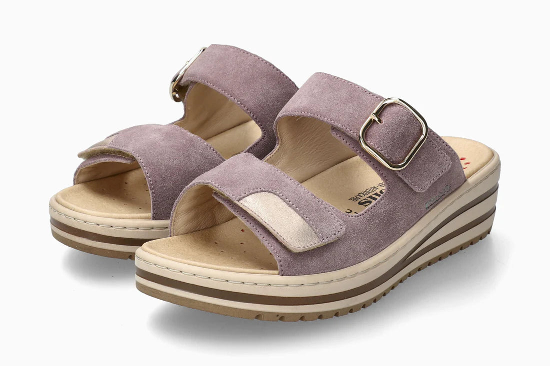 Randya - Mallow 361H/9553