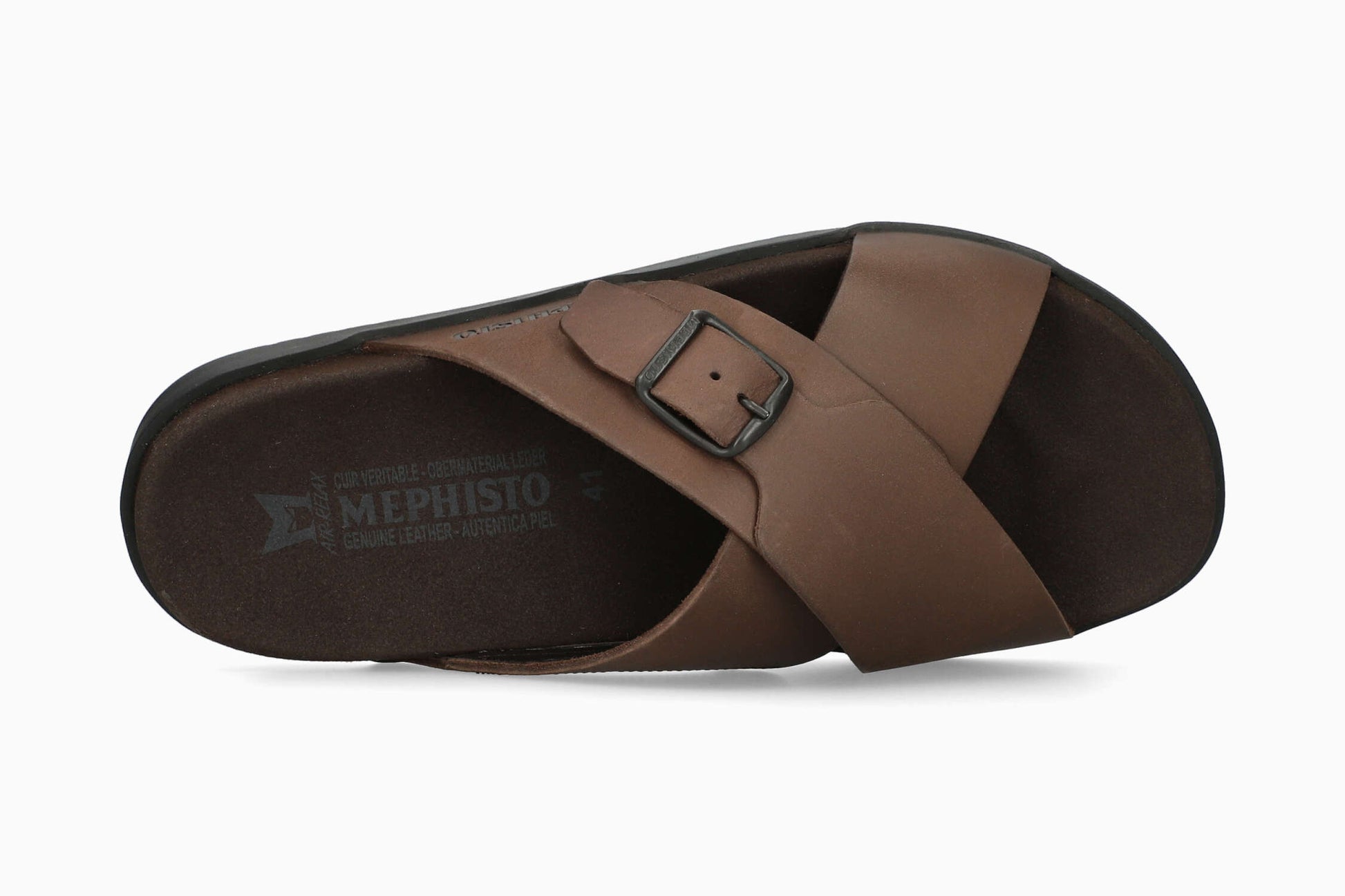 Giulio - Dark Brown SCR 3451