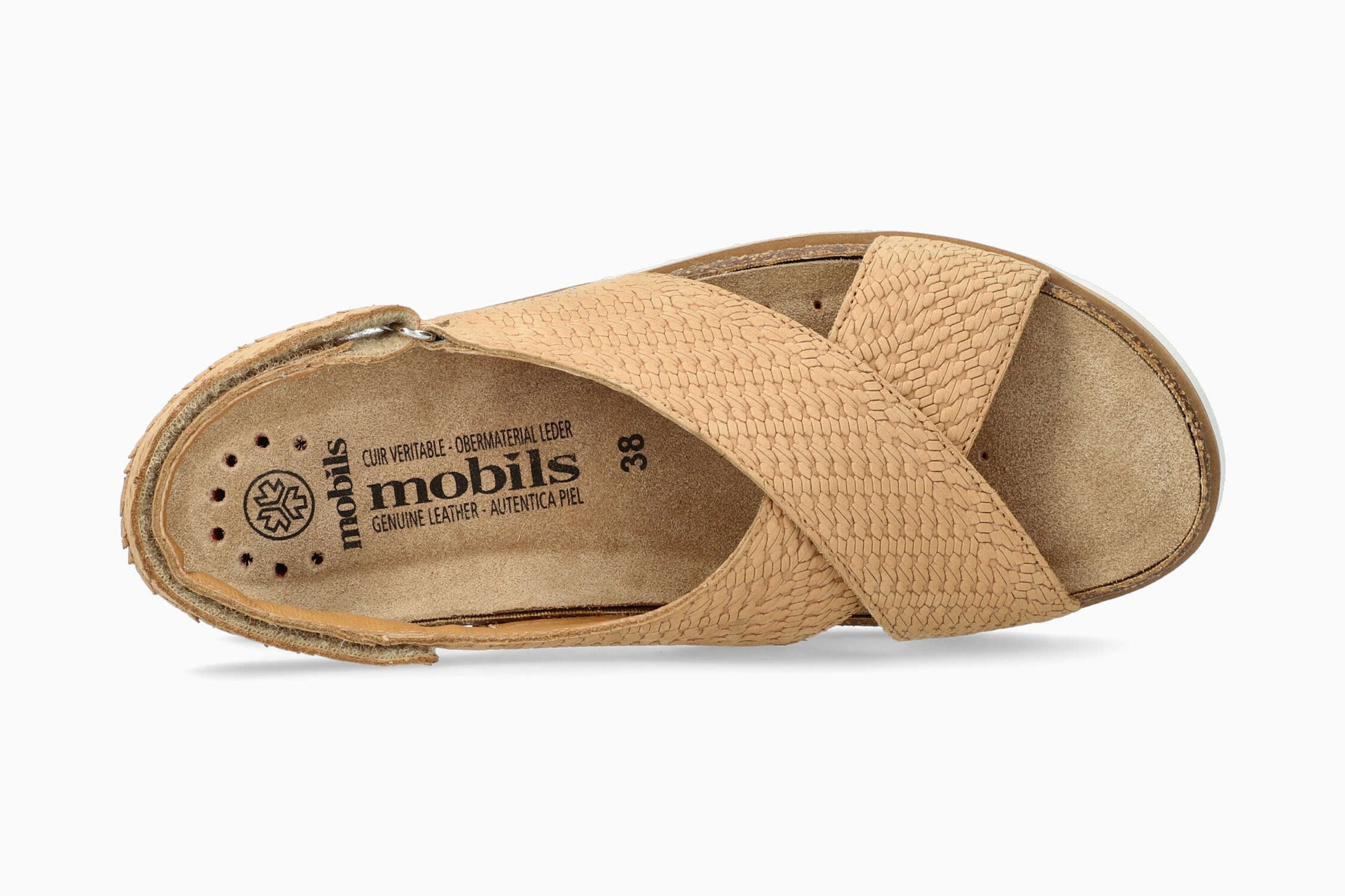 Tally - Brandy 62511