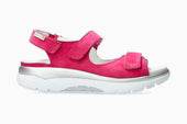 Norine - Fuschia 12240